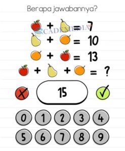 Kunci Jawaban Brain Test Level 309