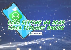 Cara Setting WhatsApp Agar Tak Terlihat Online