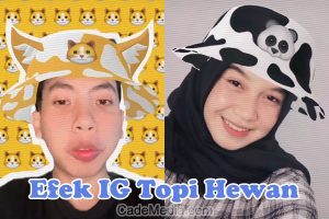 Efek Filter IG topi hewan (animal hat)