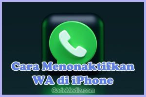 Cara Menonaktifkan (Off) WA Sementara di iPhone tanpa mematikan data seluler / Wifi agar tidak bisa dihubungi