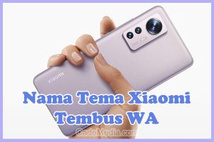 Nama Tema Xiaomi Tembus WA (MIUI 8, 9, 10, 11, & 12)