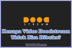 Penyebab Kenapa Video Doodstream Tidak Bisa Dibuka dan Cara Mengatasinya